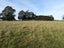 236 Biggs Road, Richmond, Oamaru - Carousel 18