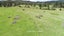 2708C Waiare Road, Kaeo, Kaeo - Carousel 5