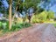 31 Kotukutuku Road, Hunterville, Hunterville - Carousel 2