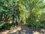 7189 Wedderburn-Becks Road, Wedderburn, Ranfurly - Carousel 14