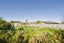 52A Hopkins Street, Woolston, Christchurch - Carousel 4