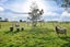 98 McIntosh Road, Otautau, Otautau - Carousel 24