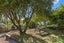 29 Opotoru Road, Raglan, Raglan - Carousel 19