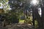 32 Brunner Street, Nelson South, Nelson - Carousel 21