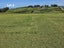 38 Taieri Beach Road, TAIERI BEACH, TAIERI MOUTH - Carousel 6