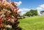 81D Dean Road, Pokeno - Carousel 29