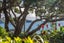 3 Tawa Street, Oneroa, Waiheke Island - Carousel 3