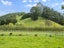 573 State Highway 1, Blenheim - Carousel 47