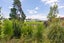 944 Ruatangata Road, Whanganui - Carousel 22