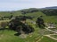 923 Oporae Road, Dannevirke - Carousel 25