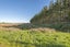 148 McHughs Road, Swannanoa, Swannanoa - Carousel 6