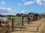 80541 Masterton Road, Woodville, Woodville - Carousel 13