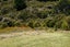 99 Jubilee Road, WAINUI, FRENCH FARM - Carousel 10