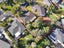 44 Normanton Street, Glenfield, Auckland - Carousel 21
