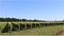 17 Riverside Drive, Whakatane, Whakatane - Carousel 4