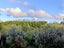 17 Upper Pitone Road, Pitone, New Plymouth - Carousel 37