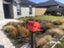 4 Cedric Place, Darfield, Darfield - Carousel 2