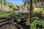 20 Stoneybrook Lane, Kamo, Whangarei - Carousel 25