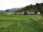 136 Charming Creek Road, SEDDONVILLE, WESTPORT - Carousel 1