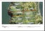 55 South Pacific Road, Rakino Island, Auckland - Carousel 2