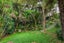21 Cathedral Place, Parnell, Auckland - Carousel 19