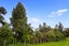 9 Betty May Drive, Pyes Pa, Tauranga - Carousel 31
