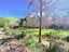 1793 Mohaka Coach Road, MOHAKA, WAIROA - Carousel 20