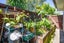 31A Dalkeith Street, Hoon Hay, Christchurch - Carousel 5