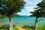 444 Bill Bryants Road, Squally Cove, Marlborough Sounds - Carousel 13