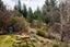 110 Letts Gully Road, Letts Gully, Alexandra - Carousel 28