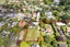 52 Owens Road, Epsom, Auckland - Carousel 2