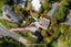4 South Lynn Road, Titirangi, Auckland - Carousel 22