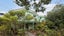 119 Buckley Road, Southgate, Wellington - Carousel 1