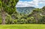 6 Walker Road, Henderson Valley, Auckland - Carousel 30
