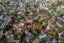 211 Lake Road, Belmont, Auckland - Carousel 12