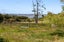 9 Churchill Road, Huntly - Carousel 7