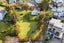 63 Reihana Street, Orakei, Auckland - Carousel 2