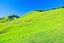 0 Lake Road, Raglan, Taupiri - Carousel 11
