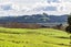 356 B M Gubb Road, Wellsford, Rodney, Auckland - Carousel 7