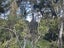 0 Horeke Road, Horeke, Okaihau - Carousel 11