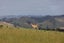 238 Roberts Avenue, Aramoho, Whanganui - Carousel 2