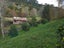 86A Te Puna Quarry Road, Whakamaramara, Western Bay Of Plenty - Carousel 35