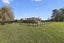 44 Peake Road, Cambridge, Hamilton - Carousel 24