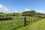 121 LEYLAND ROAD, Whakamarama, Western Bay Of Plenty - Carousel 22