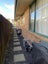 11A Aurea Avenue, Pakuranga, Auckland - Carousel 22