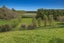 286 Paerata Ridge Road, Waiotahe, Opotiki - Carousel 40