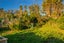 155 Townsend Road, Miramar, Wellington - Carousel 17