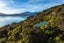 461 Kenepuru Road, Moetapu Bay, Linkwater - Carousel 2
