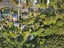 3 Whatuwhiwhi Road, Karikari Peninsula, Kaitaia - Carousel 13