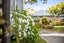 35 Hospital Road, Witherlea, Blenheim - Carousel 22